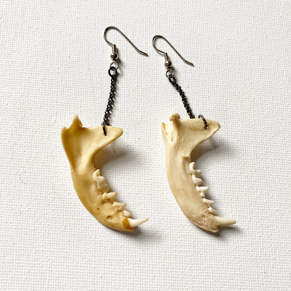 Jawbone earrings